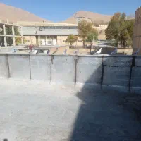 پرنده کبوتر