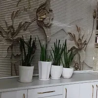 پرده دو مکانیزه آشپزخانه