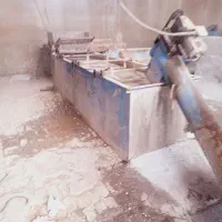 فروش خط کامل آسیاب.و اره فلکه