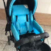 کالسکه عصایی دلیجان