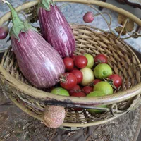 میوه خوری خارجی|ظروف سرو و پذیرایی|تهران, مهران (سیدخندان)|دیوار
