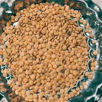 عدس|خوردنی و آشامیدنی|شباب, |دیوار