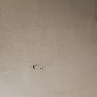 زمین روستای احمدی