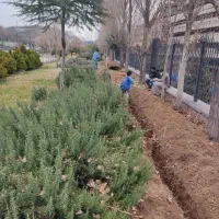 نگهداری فضای سبز ادارات،شرکتها،برج ها|خدمات باغبانی و درختکاری|تهران, گلستان (شهرک راه آهن)|دیوار
