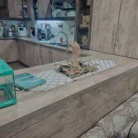 فروش کابینت ام دی اف تمیز