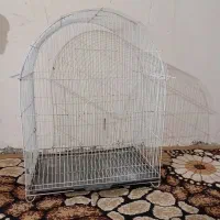 قفس پرنده|لوازم جانبی حیوانات|گرگان, |دیوار