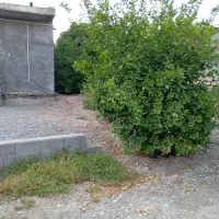 فروش نقدی خانه و حیاط|فروش خانه و ویلا|رستم, |دیوار