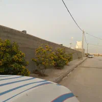 سه واحدی تنگک دوم|فروش آپارتمان|بوشهر, |دیوار