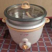 پلوپز وبخارپز سانی