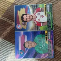 دو عدد کیمکی