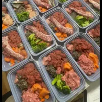 غذا خونگی گربه و سگ|لوازم جانبی حیوانات|شیراز, سرو|دیوار