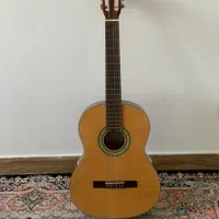گیتار بست فان نو