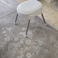 سرویس بهداشتی فرنگی