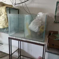 اکواریوم سالنی|ماهی|برخوار, |دیوار