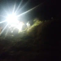 کاه یونجه