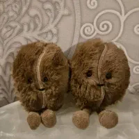 اکسسوری|بدلیجات|کرج, شهرک شهرداری|دیوار