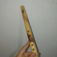 فلوت