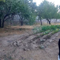 زمین باغ کندرود داخل محدوده