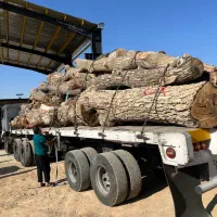 رام بری عباسی رامبری رامبرش اسلب کالباسی|عمده‌فروشی|شیراز, گویم|دیوار