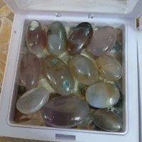 قناری و  قفس و.. معاوضه دارم ۱۰۰