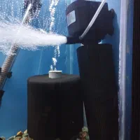 آکواریوم با ماهی و تجهیزات|ماهی|مراغه, |دیوار