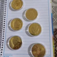 تعداد۱۲عددسکه به فروش میرسند.هرعددفقط۵۰۰هزارتومن.
