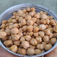 نخود بوجاری شده