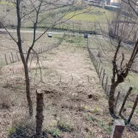 فروش زمین واقع در مازندران زیراب روستای اتو