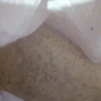 برنج هندی|خوردنی و آشامیدنی|شیراز, بهارستان|دیوار