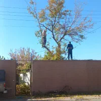 خرید انواع چوب بهترین قیمت