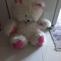 خرس پاندا