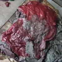 قلمبه، کلوخه پ پ pp