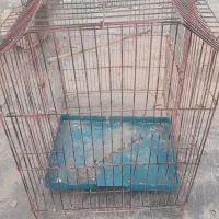 قفس بزرگ پرنده فوری