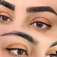 میکروبلیدینگ فیبروز ابرو خط چشم بن مژه رژلب اموزش|خدمات آرایشگری و زیبایی|اهواز, گلستان|دیوار