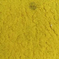 فرش ۳متری|فرش|زاهدان, |دیوار