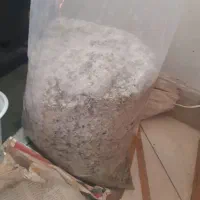 ماسه سنگ سفید فروش معاوضه بنسای