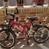 خوش رکاب سالم و زیبا