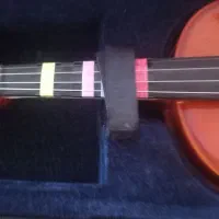 ویلون نو|ویولن|قدس, شهرقدس|دیوار