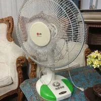 پنکه زمینی