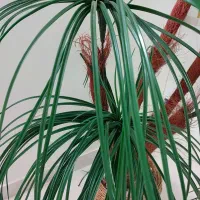 نخل مصنوعی|گل مصنوعی|شیراز, غدیر جنوبی|دیوار