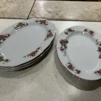 سرویس غذا خوری گل سرخ