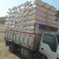 کاه درجه یک