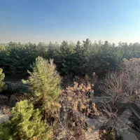 160-متر-8-واحدی-فروشی-فول