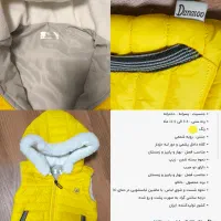 پافر