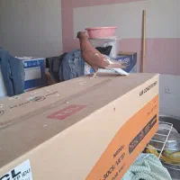 دم سفید اشعل