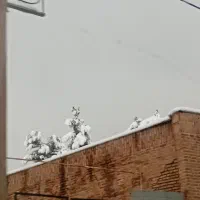 راهنمایی میخوام