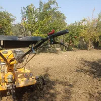 هرس کردن درخت|خدمات باغبانی و درختکاری|گرگان, |دیوار