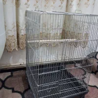 قفس بزرگ