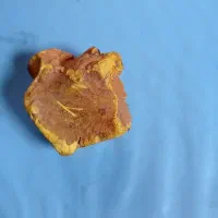 یک-قطعه-زمین-به-متراژ-160متر