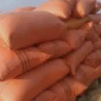 کاه در باردان جمع شده یه کم سیاهی دارد